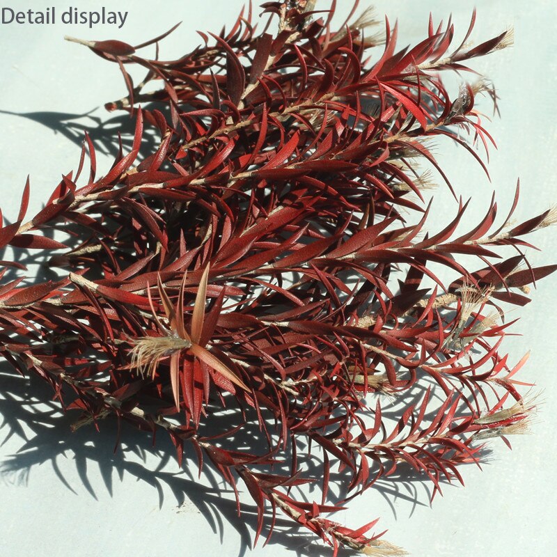 Miniature model Scenario model reed grass Simulated corn field Military scene sand table material