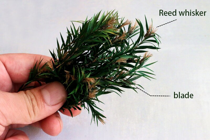 Miniature model Scenario model reed grass Simulated corn field Military scene sand table material