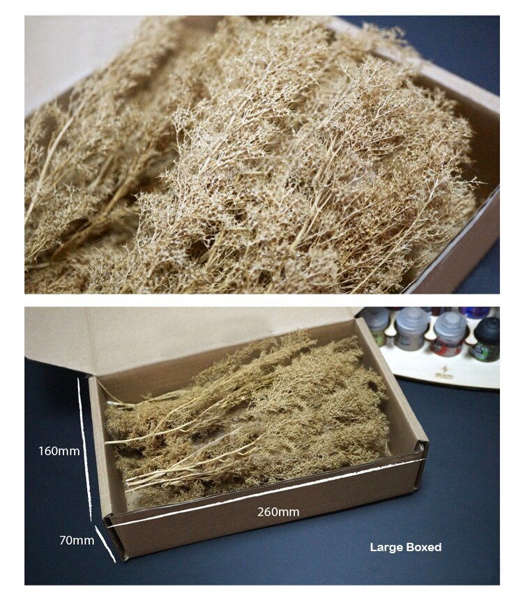 Miniature model Chenopodium spinosum Train sand table War scene model DIY transformation materials