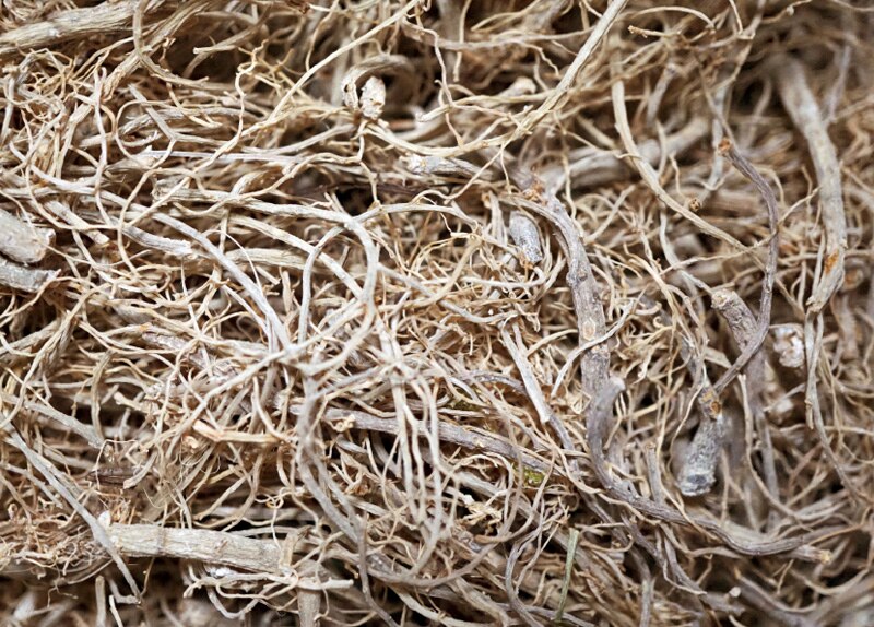 Miniature model Simulation vine root Branched branches Sand table materials for DIY model platform scene