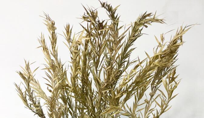 Miniature model Long leaf vegetation reed model DIY material for platform reconstruction of military scene sand table model