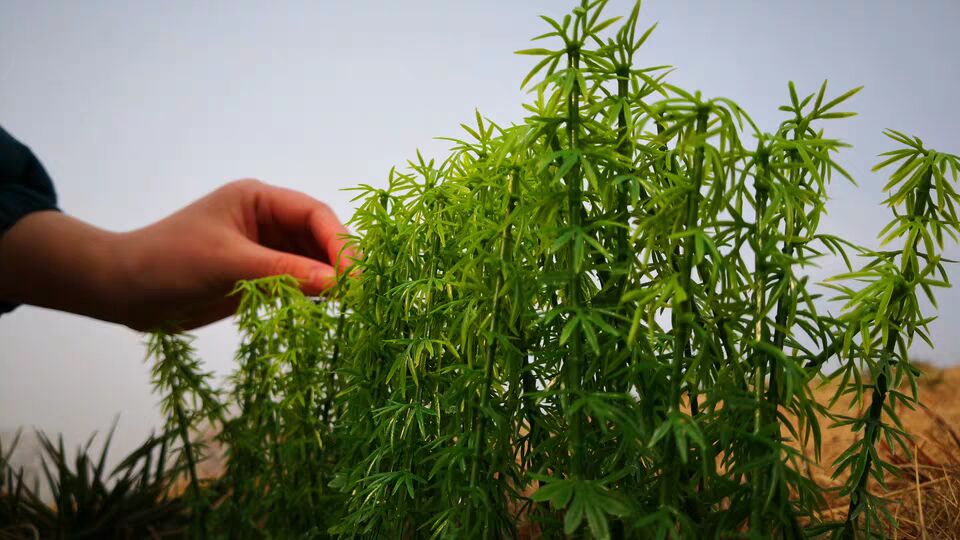 miniature Simulated bamboo Scene Model Tree Materials DIY Consumables for Train Sand Table Building