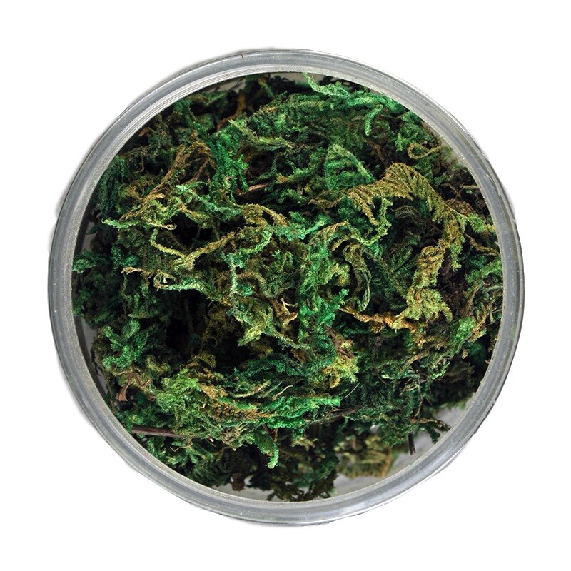 miniature Shrub vegetation Material Making for Sand Table Scene Platform of Military Building Camouflage grass