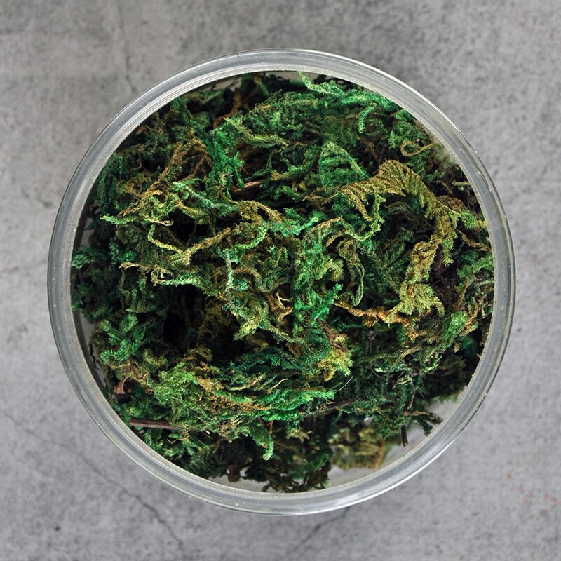 miniature Shrub vegetation Material Making for Sand Table Scene Platform of Military Building Camouflage grass