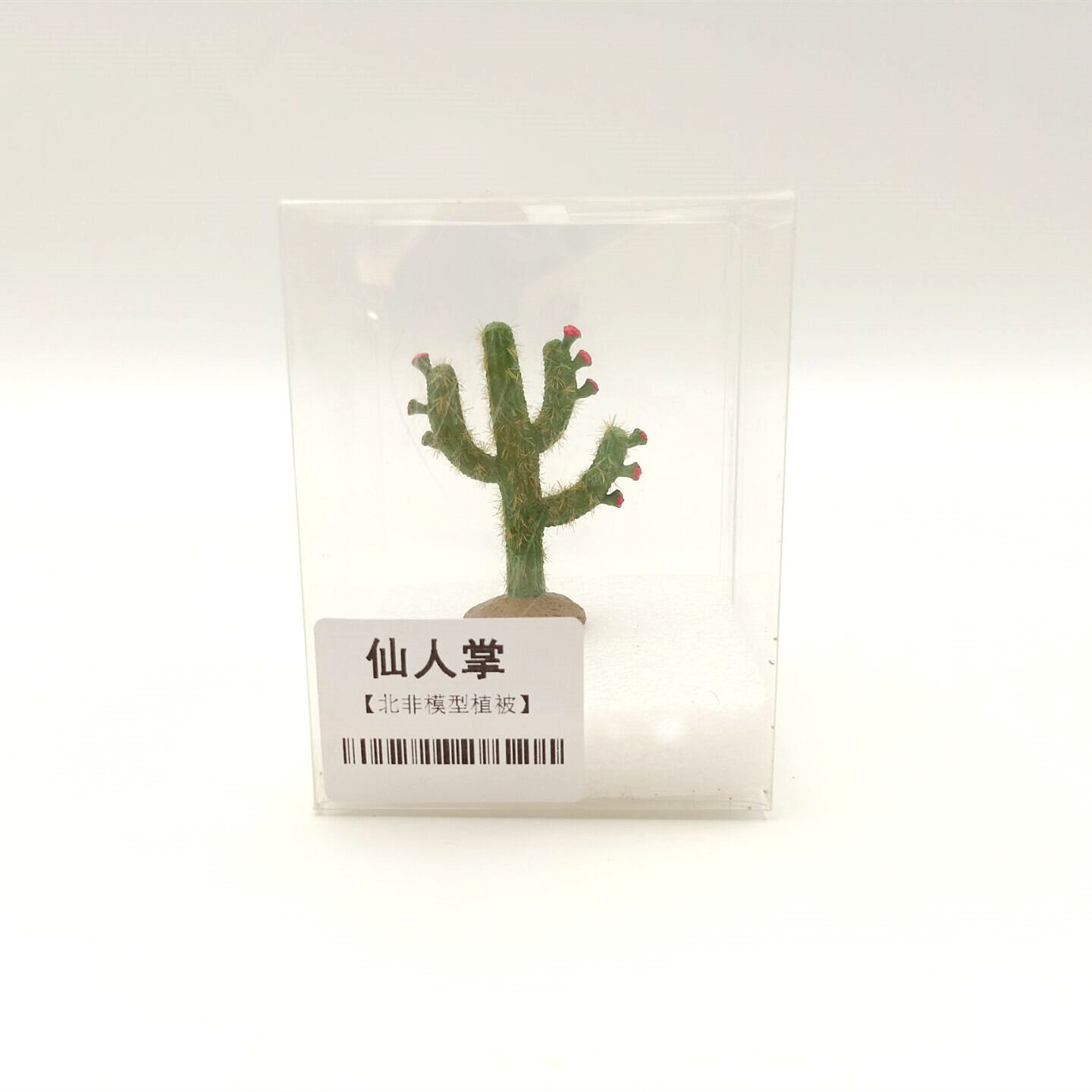 miniature Desert vegetation Cactus North African Battlefield Military Scenario Model Accessories Ornament DIY Material H5cm