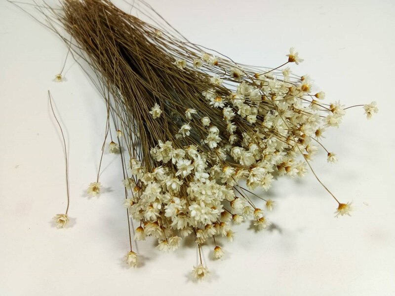 miniature Scenario model Sunflower Cluster Modification Material 1/35 DIY Material for Terrain Sand Table Military scenario