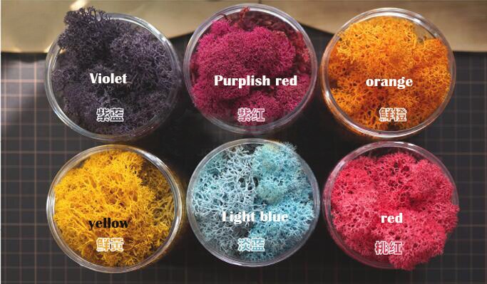 Miniature model Simulation Bush model Low grass lichen 450ml DIY sand table military train scene model material