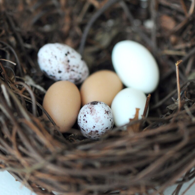 miniature Resin rattan Bird's nest 6 cm Bird eggs 1.2cm Micro-landscape DIY toys Ornament Landscape Sand Table Materials