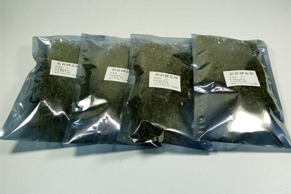 miniature Thicket vegetation Train railway Military Scene Model DIY material