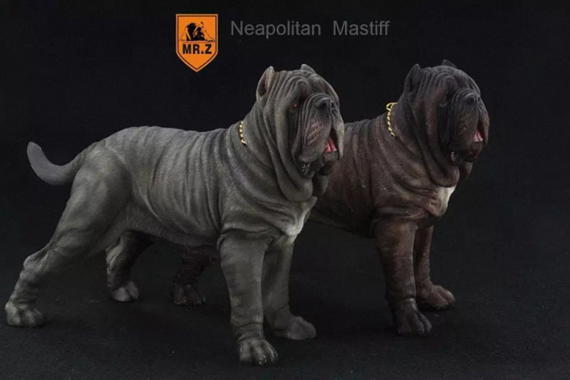 Mr.Z 1:6 Resin PVC Miniature Animal Model Neapolitan Mastiff Dog Model Toy Fit 12