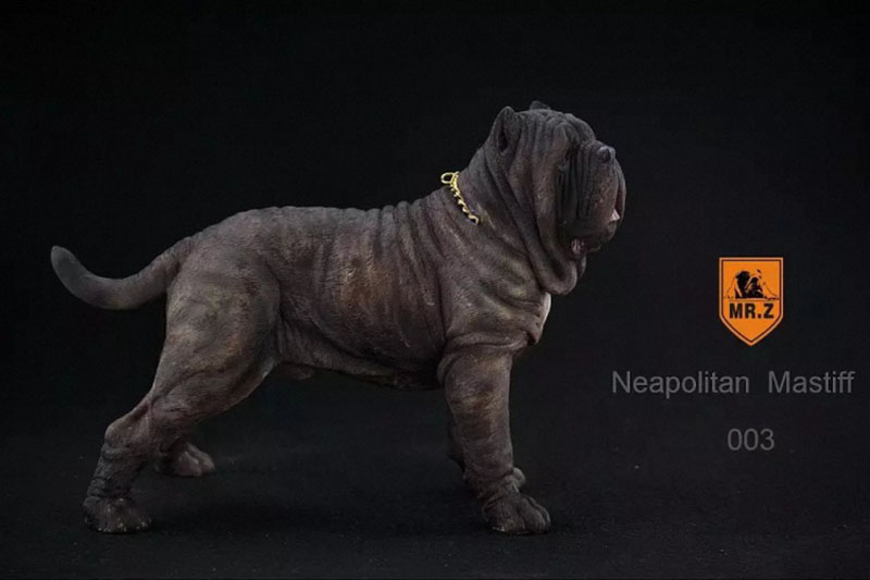 Mr.Z 1:6 Resin PVC Miniature Animal Model Neapolitan Mastiff Dog Model Toy Fit 12