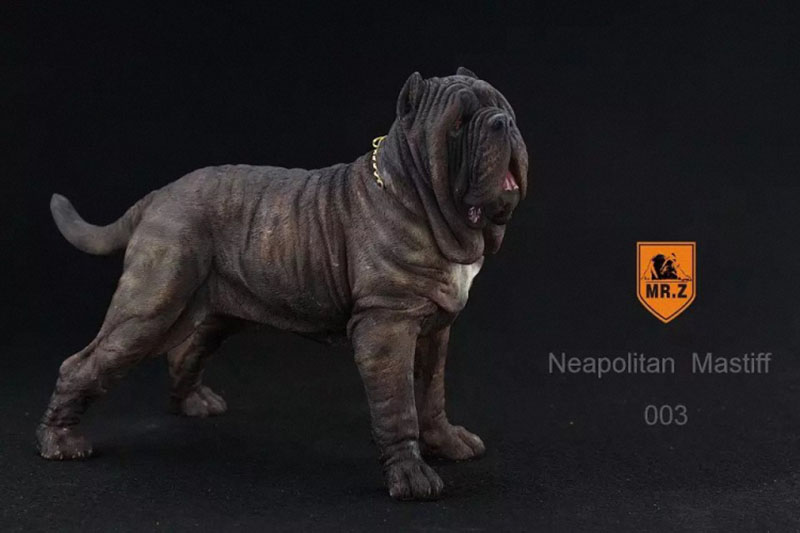 Mr.Z 1:6 Resin PVC Miniature Animal Model Neapolitan Mastiff Dog Model Toy Fit 12