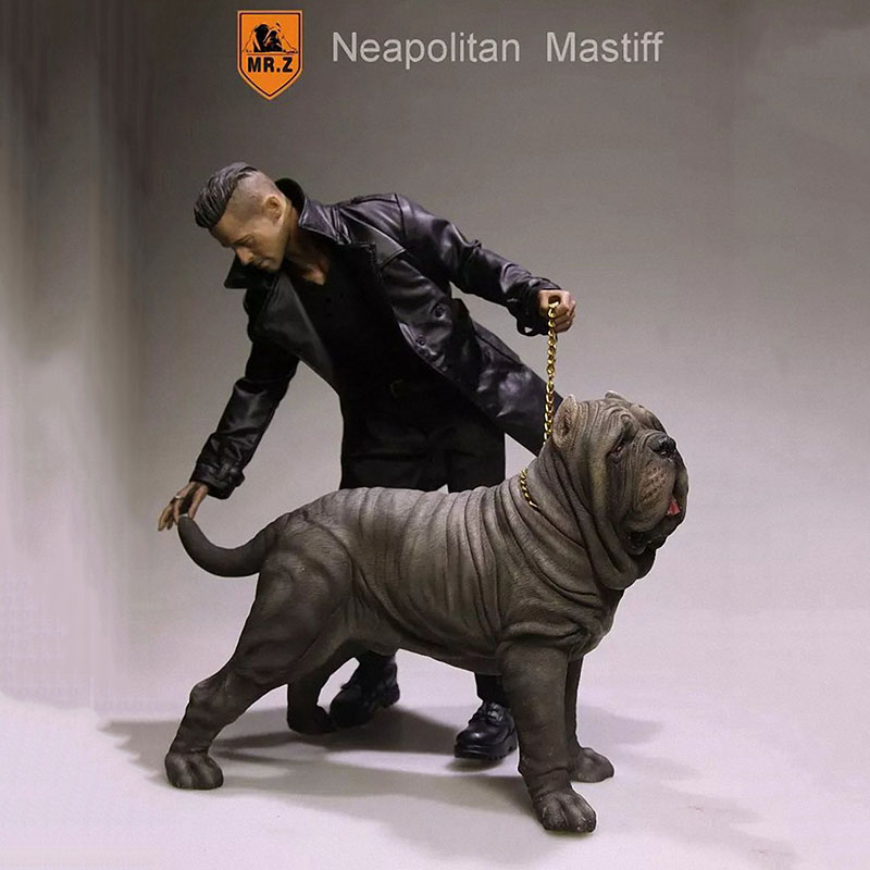 Mr.Z 1:6 Resin PVC Miniature Animal Model Neapolitan Mastiff Dog Model Toy Fit 12