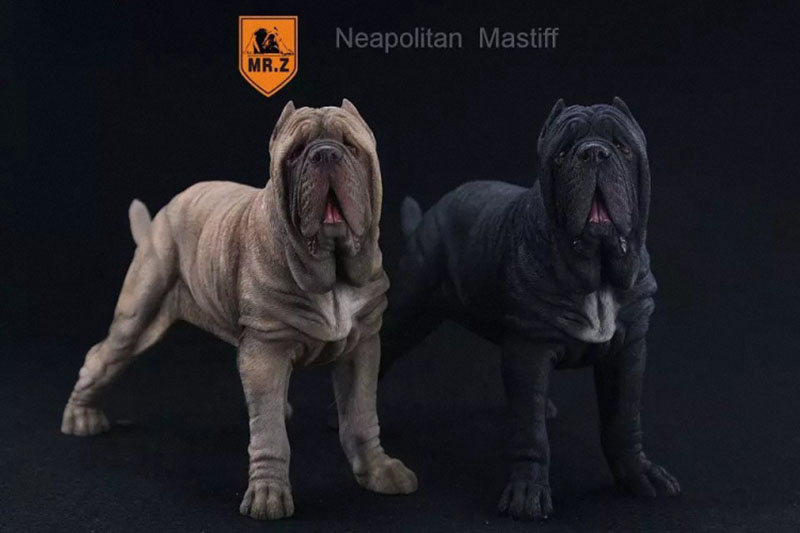 Mr.Z 1:6 Resin PVC Miniature Animal Model Neapolitan Mastiff Dog Model Toy Fit 12