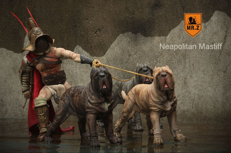 Mr.Z 1:6 Resin PVC Miniature Animal Model Neapolitan Mastiff Dog Model Toy Fit 12