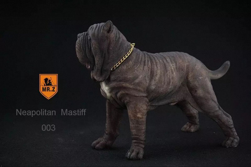 Mr.Z 1:6 Resin PVC Miniature Animal Model Neapolitan Mastiff Dog Model Toy Fit 12