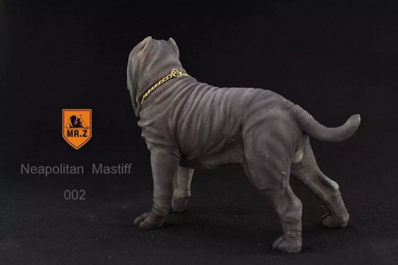 Mr.Z 1:6 Resin PVC Miniature Animal Model Neapolitan Mastiff Dog Model Toy Fit 12