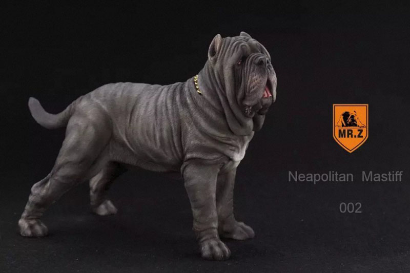 Mr.Z 1:6 Resin PVC Miniature Animal Model Neapolitan Mastiff Dog Model Toy Fit 12