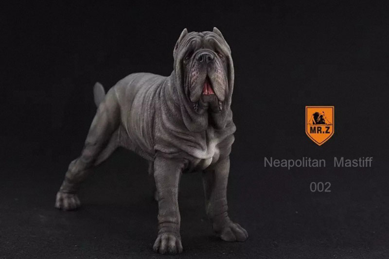 Mr.Z 1:6 Resin PVC Miniature Animal Model Neapolitan Mastiff Dog Model Toy Fit 12