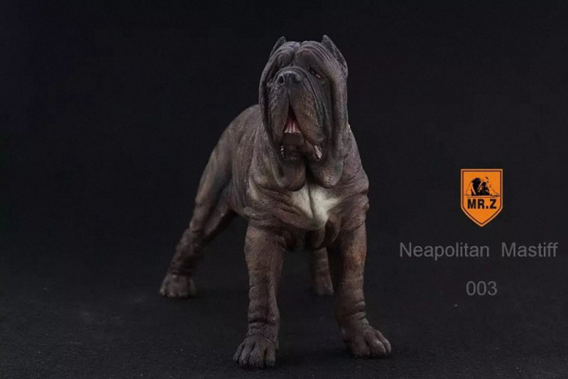 Mr.Z 1:6 Resin PVC Miniature Animal Model Neapolitan Mastiff Dog Model Toy Fit 12