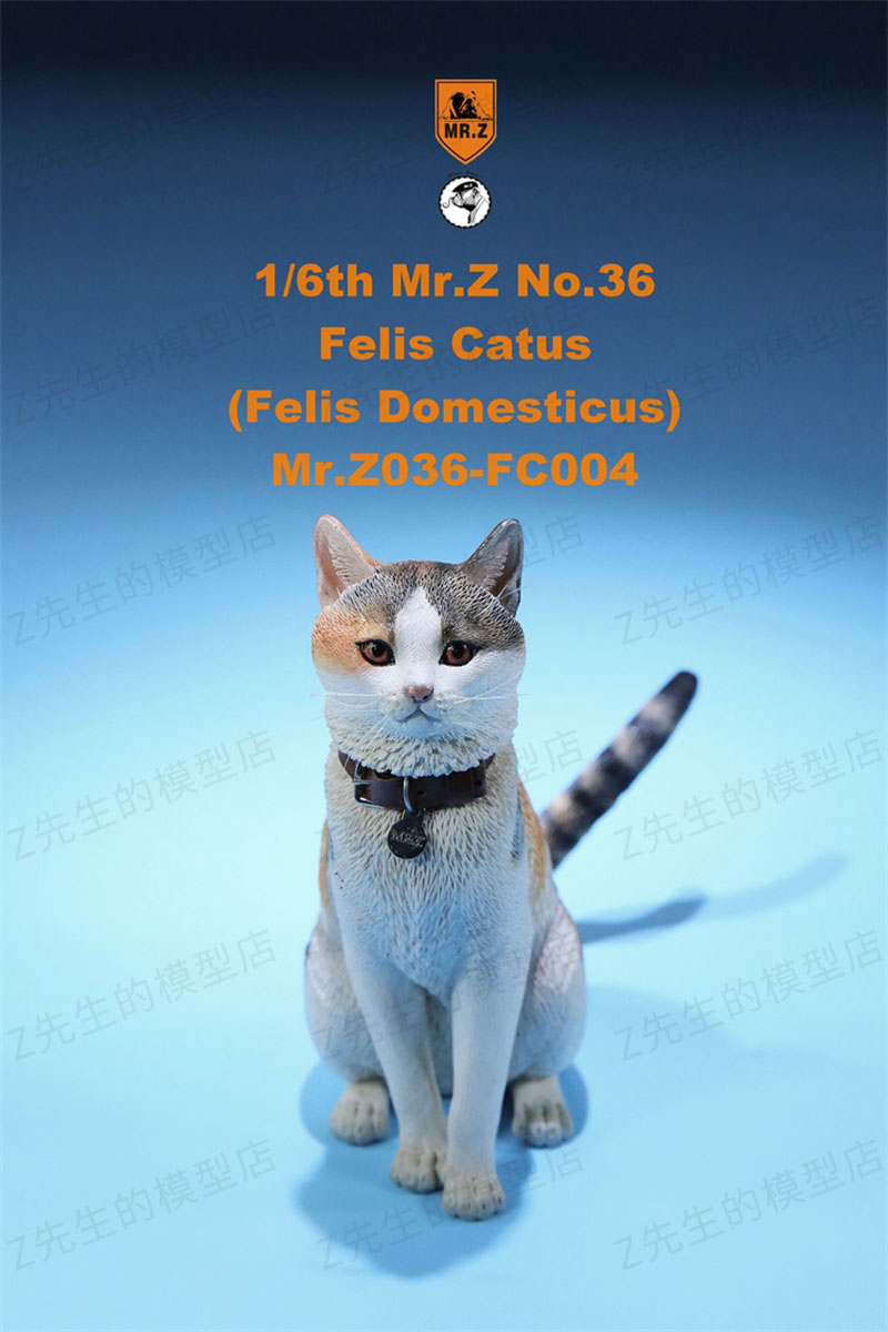 Mr.Z 1/6 Felis Catus No. 036 Domestic Cat Orange Cat Simulation Cat Simulation Animal Model Static Decoration Ornaments Display Mr.Z 1/6 Felis Catus No. 036 Domestic Cat Orange Cat Simulation Cat Simulation Animal Model Static Decoration Ornaments Display