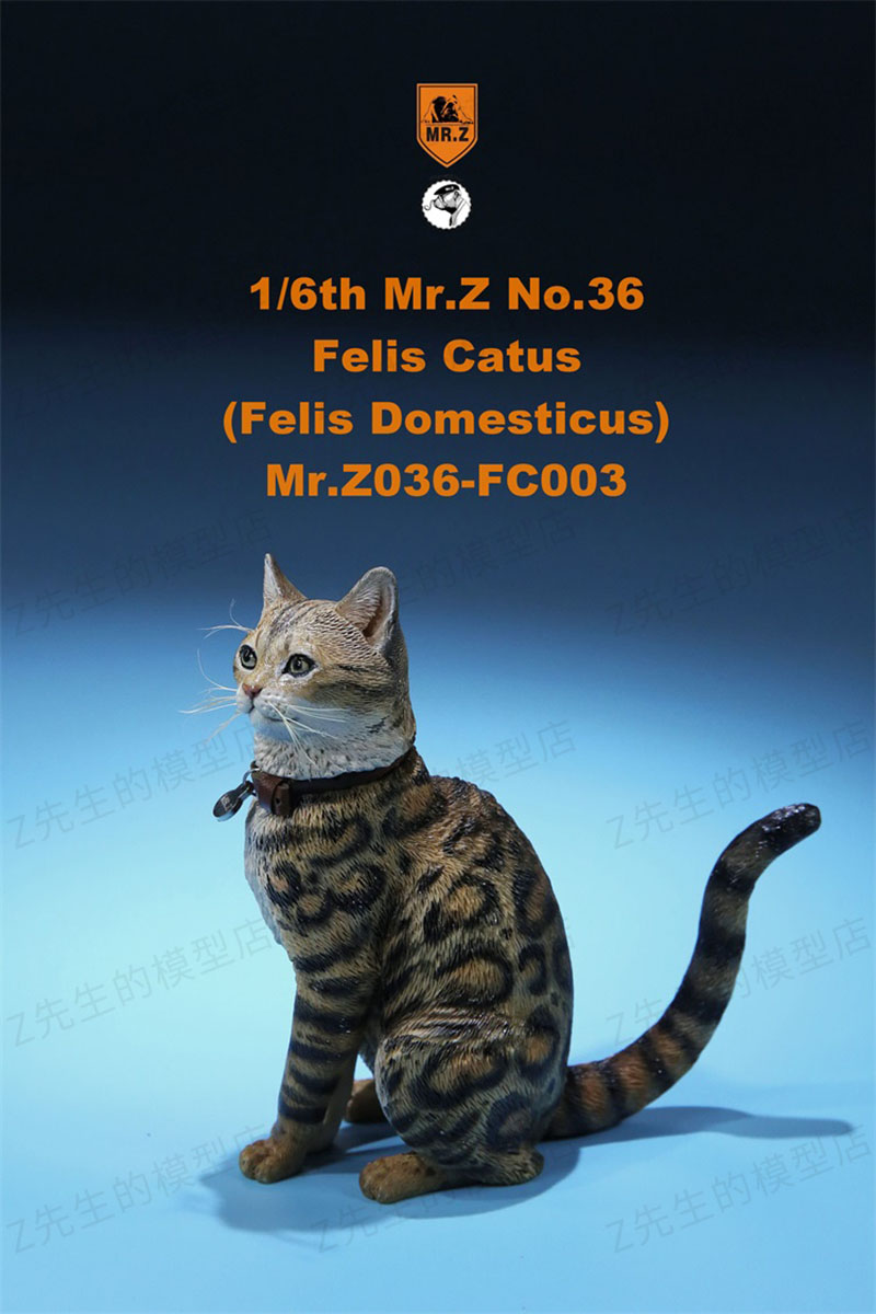 Mr.Z 1/6 Felis Catus No. 036 Domestic Cat Orange Cat Simulation Cat Simulation Animal Model Static Decoration Ornaments Display Mr.Z 1/6 Felis Catus No. 036 Domestic Cat Orange Cat Simulation Cat Simulation Animal Model Static Decoration Ornaments Display