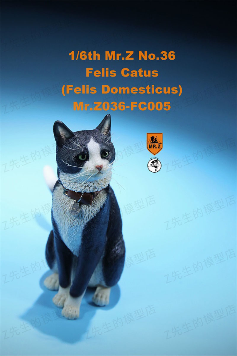 Mr.Z 1/6 Felis Catus No. 036 Domestic Cat Orange Cat Simulation Cat Simulation Animal Model Static Decoration Ornaments Display Mr.Z 1/6 Felis Catus No. 036 Domestic Cat Orange Cat Simulation Cat Simulation Animal Model Static Decoration Ornaments Display