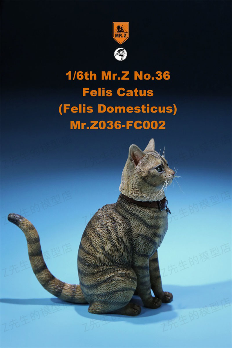 Mr.Z 1/6 Felis Catus No. 036 Domestic Cat Orange Cat Simulation Cat Simulation Animal Model Static Decoration Ornaments Display Mr.Z 1/6 Felis Catus No. 036 Domestic Cat Orange Cat Simulation Cat Simulation Animal Model Static Decoration Ornaments Display