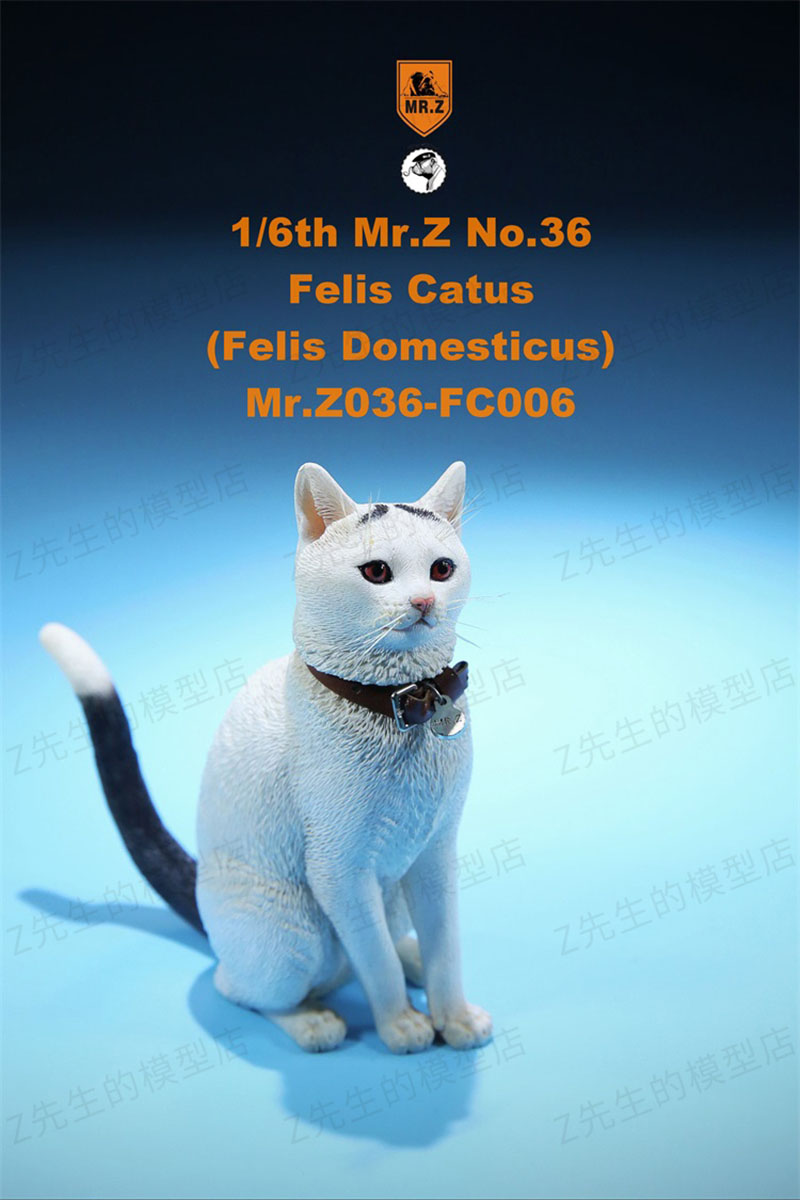 Mr.Z 1/6 Felis Catus No. 036 Domestic Cat Orange Cat Simulation Cat Simulation Animal Model Static Decoration Ornaments Display Mr.Z 1/6 Felis Catus No. 036 Domestic Cat Orange Cat Simulation Cat Simulation Animal Model Static Decoration Ornaments Display
