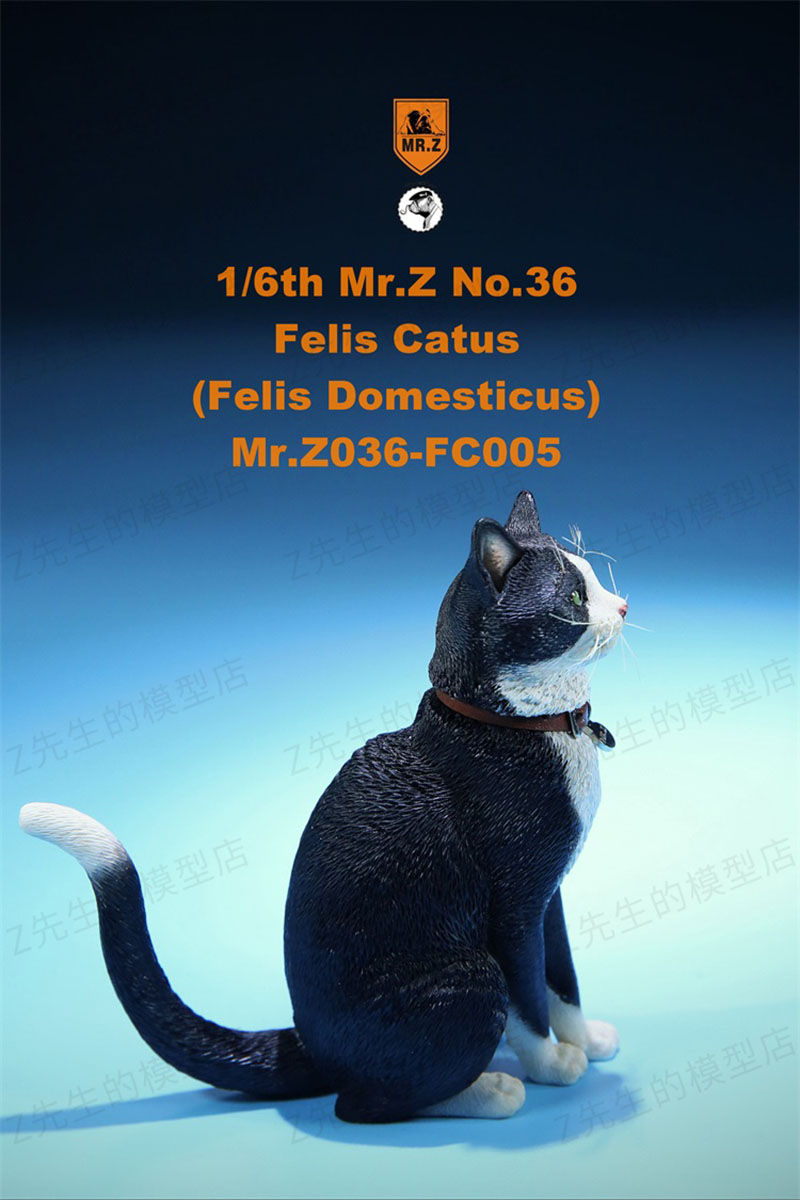 Mr.Z 1/6 Felis Catus No. 036 Domestic Cat Orange Cat Simulation Cat Simulation Animal Model Static Decoration Ornaments Display Mr.Z 1/6 Felis Catus No. 036 Domestic Cat Orange Cat Simulation Cat Simulation Animal Model Static Decoration Ornaments Display
