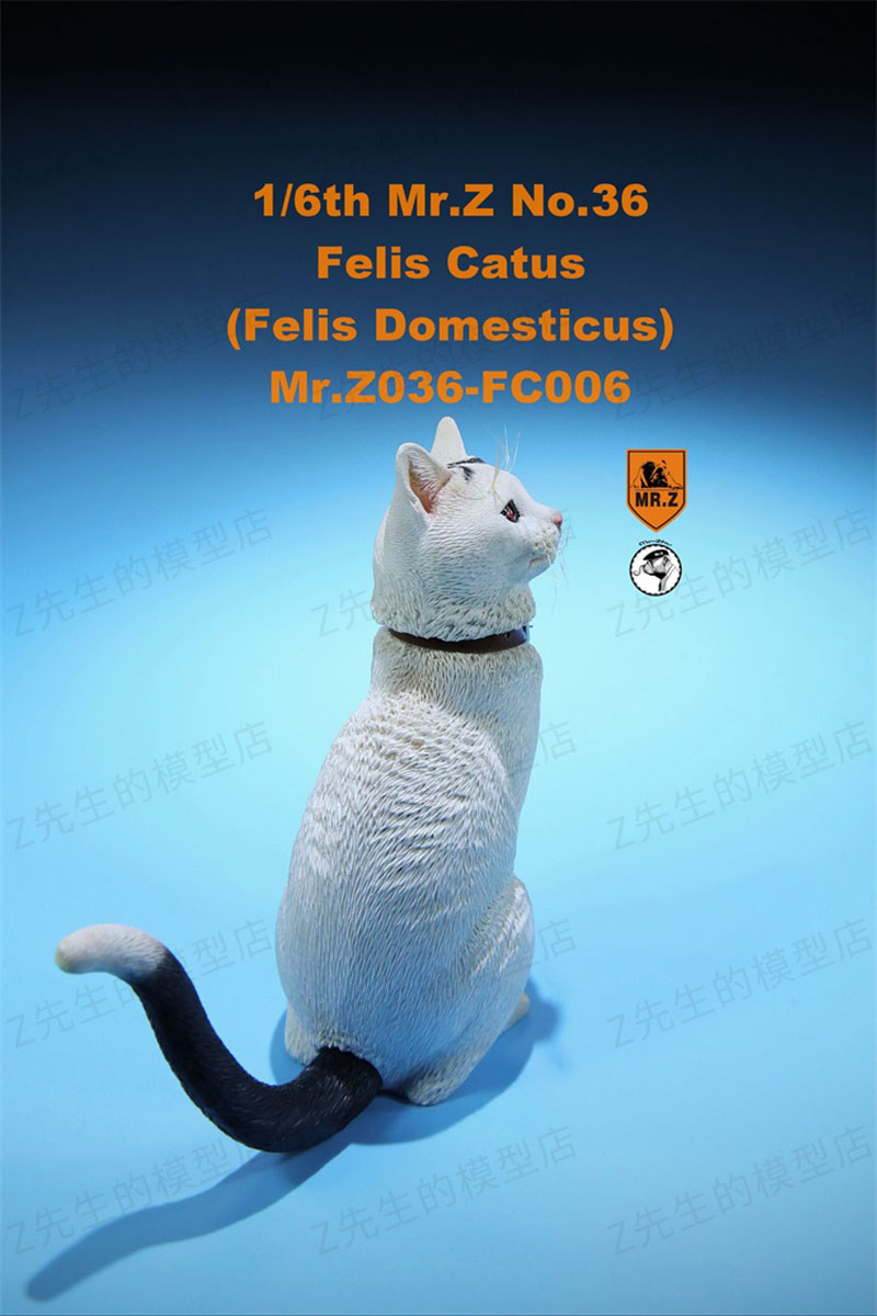 Mr.Z 1/6 Felis Catus No. 036 Domestic Cat Orange Cat Simulation Cat Simulation Animal Model Static Decoration Ornaments Display Mr.Z 1/6 Felis Catus No. 036 Domestic Cat Orange Cat Simulation Cat Simulation Animal Model Static Decoration Ornaments Display