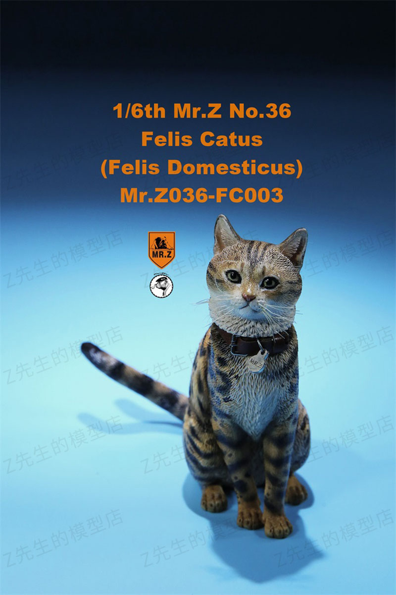 Mr.Z 1/6 Felis Catus No. 036 Domestic Cat Orange Cat Simulation Cat Simulation Animal Model Static Decoration Ornaments Display Mr.Z 1/6 Felis Catus No. 036 Domestic Cat Orange Cat Simulation Cat Simulation Animal Model Static Decoration Ornaments Display