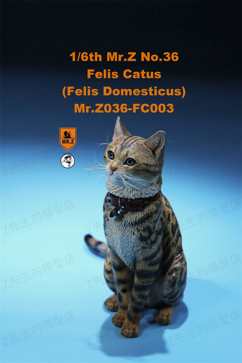 Mr.Z 1/6 Felis Catus No. 036 Domestic Cat Orange Cat Simulation Cat Simulation Animal Model Static Decoration Ornaments Display Mr.Z 1/6 Felis Catus No. 036 Domestic Cat Orange Cat Simulation Cat Simulation Animal Model Static Decoration Ornaments Display
