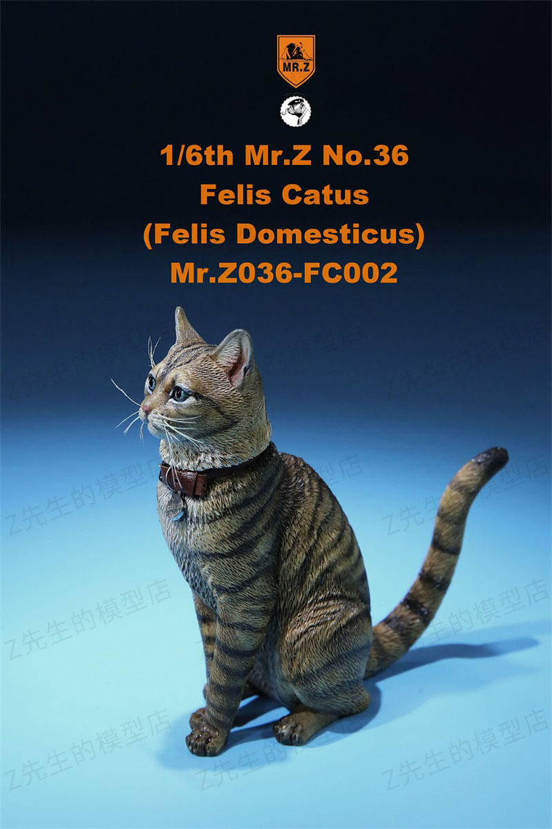 Mr.Z 1/6 Felis Catus No. 036 Domestic Cat Orange Cat Simulation Cat Simulation Animal Model Static Decoration Ornaments Display Mr.Z 1/6 Felis Catus No. 036 Domestic Cat Orange Cat Simulation Cat Simulation Animal Model Static Decoration Ornaments Display