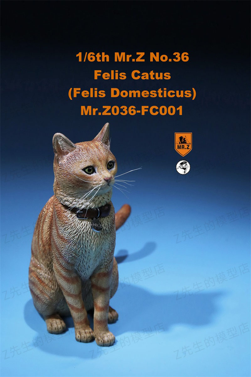 Mr.Z 1/6 Felis Catus No. 036 Domestic Cat Orange Cat Simulation Cat Simulation Animal Model Static Decoration Ornaments Display Mr.Z 1/6 Felis Catus No. 036 Domestic Cat Orange Cat Simulation Cat Simulation Animal Model Static Decoration Ornaments Display