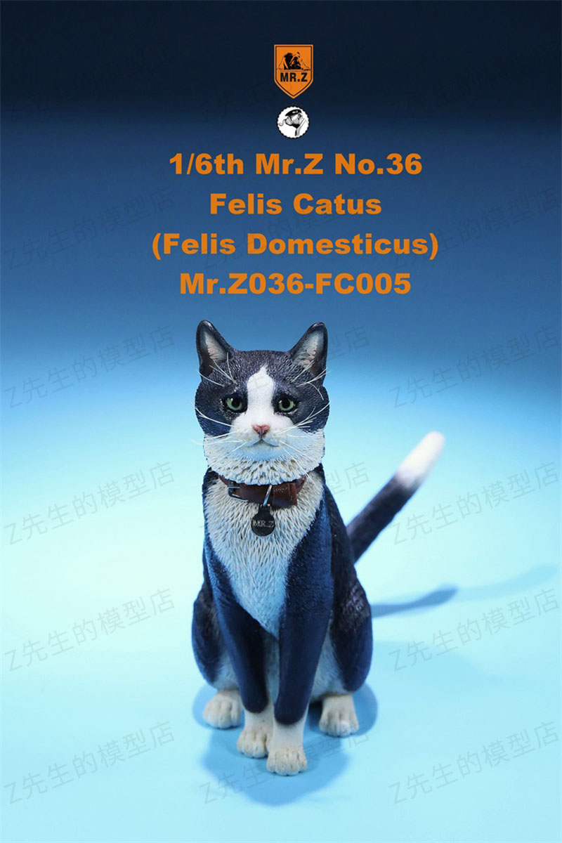 Mr.Z 1/6 Felis Catus No. 036 Domestic Cat Orange Cat Simulation Cat Simulation Animal Model Static Decoration Ornaments Display Mr.Z 1/6 Felis Catus No. 036 Domestic Cat Orange Cat Simulation Cat Simulation Animal Model Static Decoration Ornaments Display