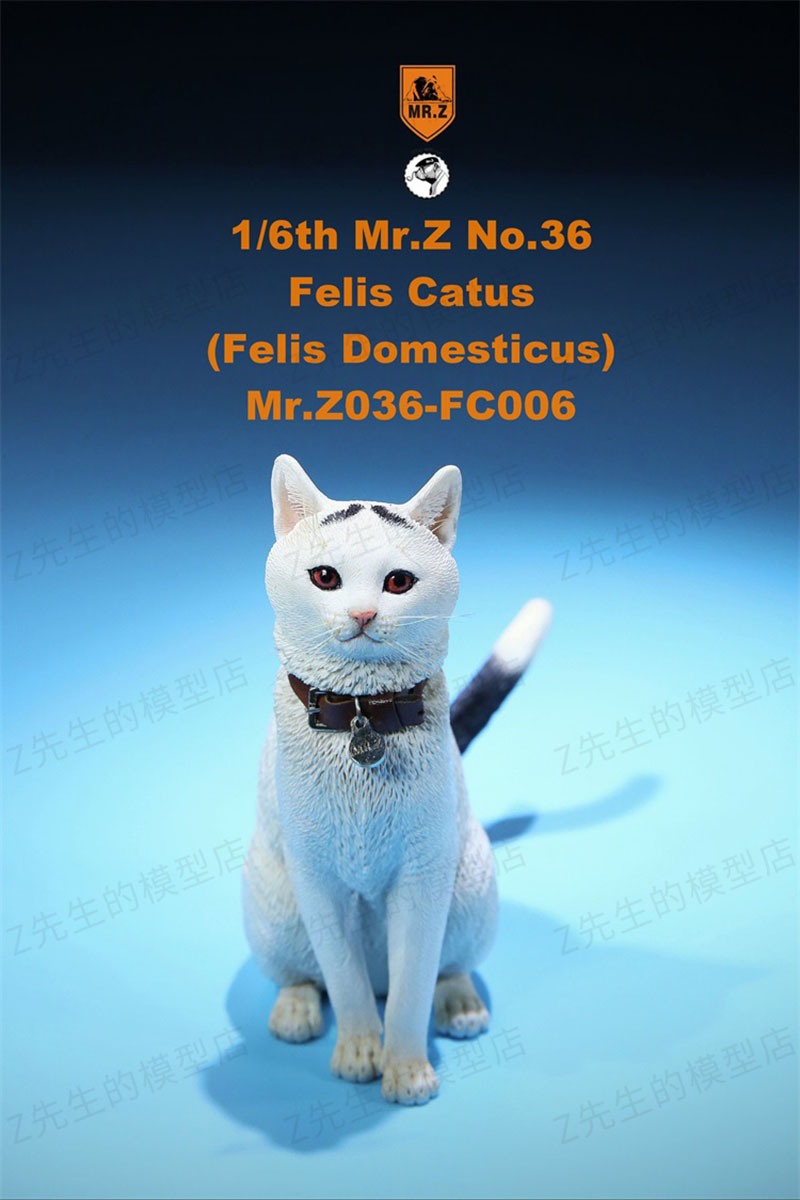 Mr.Z 1/6 Felis Catus No. 036 Domestic Cat Orange Cat Simulation Cat Simulation Animal Model Static Decoration Ornaments Display Mr.Z 1/6 Felis Catus No. 036 Domestic Cat Orange Cat Simulation Cat Simulation Animal Model Static Decoration Ornaments Display