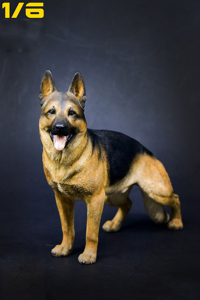 Mr.Z 23cm 1/6 Simulation Animal German Shepherd Dog Model Toy for Action Figure Scene Home Decoration Display Gift Souvenir Show Mr.Z 23cm 1/6 Simulation Animal German Shepherd Dog Model Toy for Action Figure Scene Home Decoration Display Gift Souvenir Show