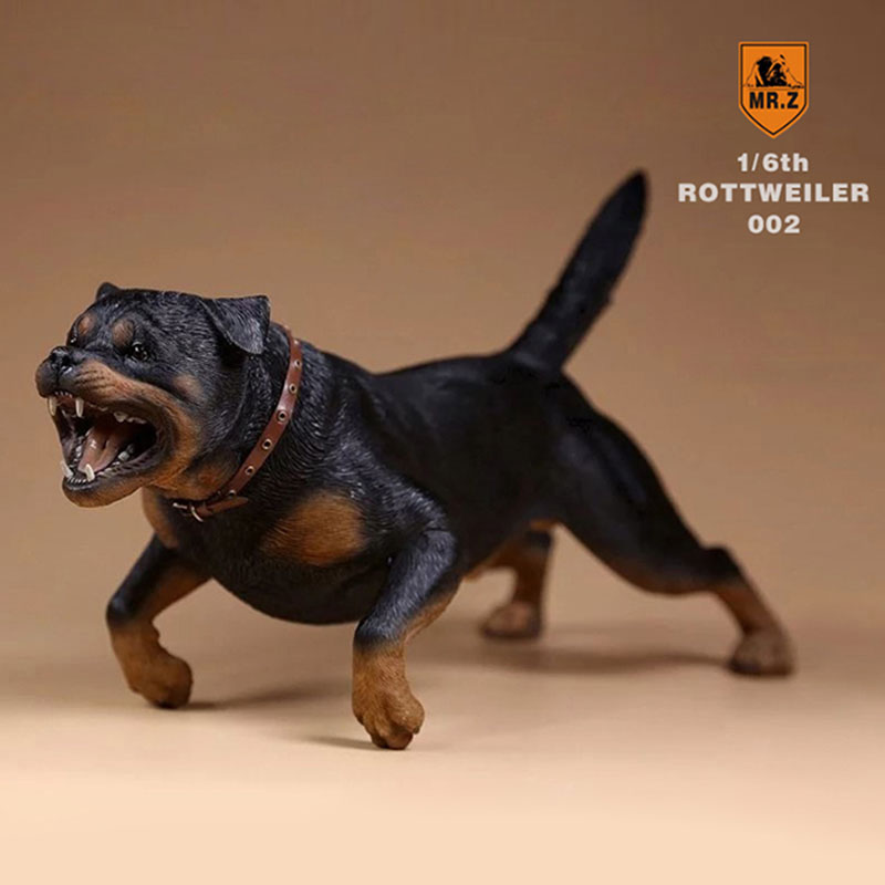 Mr.Z 1/6 Simulation Animal Dog German Rottweiler Dog Model Toy Gift Model F 12