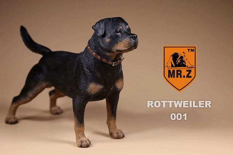 Mr.Z 1/6 Simulation Animal Dog German Rottweiler Dog Model Toy Gift Model F 12