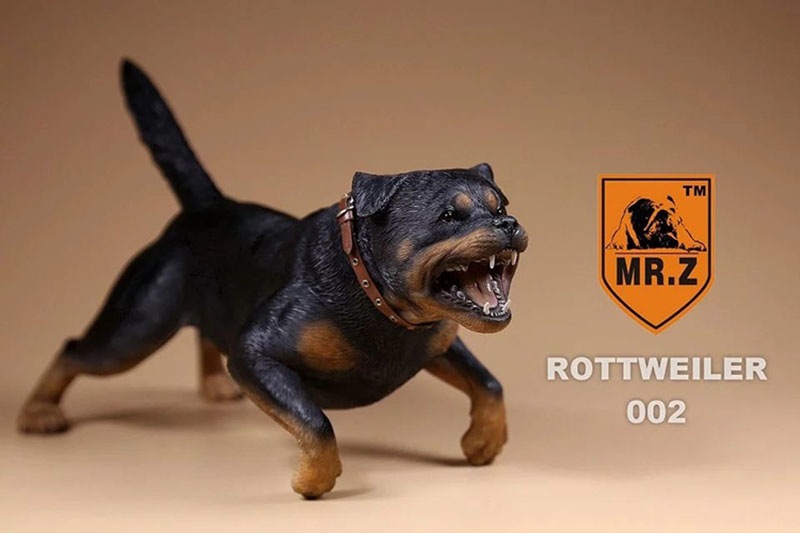 Mr.Z 1/6 Simulation Animal Dog German Rottweiler Dog Model Toy Gift Model F 12