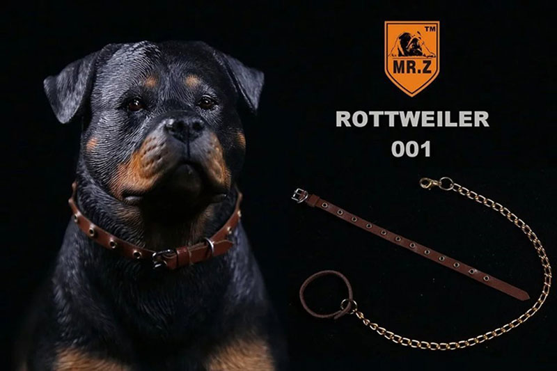 Mr.Z 1/6 Simulation Animal Dog German Rottweiler Dog Model Toy Gift Model F 12