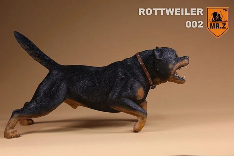 Mr.Z 1/6 Simulation Animal Dog German Rottweiler Dog Model Toy Gift Model F 12