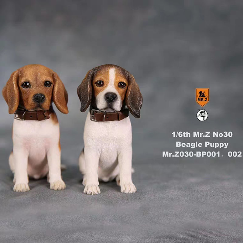 Mr.Z 1/6 No.30 Beagle Puppy BP001/BP002 Dog simulation animal model toy For 12 inches action figure doll car decoration Ornament Mr.Z 1/6 No.30 Beagle Puppy BP001/BP002 Dog simulation animal model toy For 12 inches action figure doll car decoration Ornament