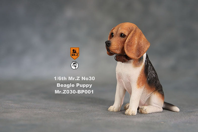 Mr.Z 1/6 No.30 Beagle Puppy BP001/BP002 Dog simulation animal model toy For 12 inches action figure doll car decoration Ornament Mr.Z 1/6 No.30 Beagle Puppy BP001/BP002 Dog simulation animal model toy For 12 inches action figure doll car decoration Ornament