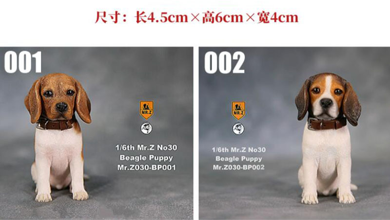 Mr.Z 1/6 No.30 Beagle Puppy BP001/BP002 Dog simulation animal model toy For 12 inches action figure doll car decoration Ornament Mr.Z 1/6 No.30 Beagle Puppy BP001/BP002 Dog simulation animal model toy For 12 inches action figure doll car decoration Ornament