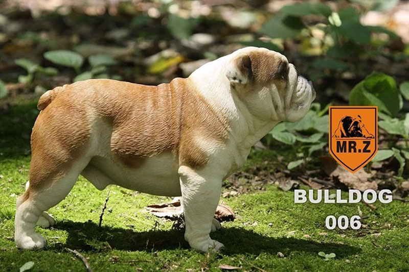 Mr.Z 1/4 Simulation Animal dog Bulldog Models Toy Gift Model For Action Figure Scene Car Decoration Accessories indoor Ornaments