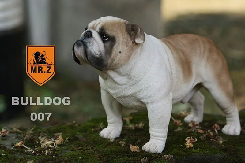 Mr.Z 1/4 Simulation Animal dog Bulldog Models Toy Gift Model For Action Figure Scene Car Decoration Accessories indoor Ornaments
