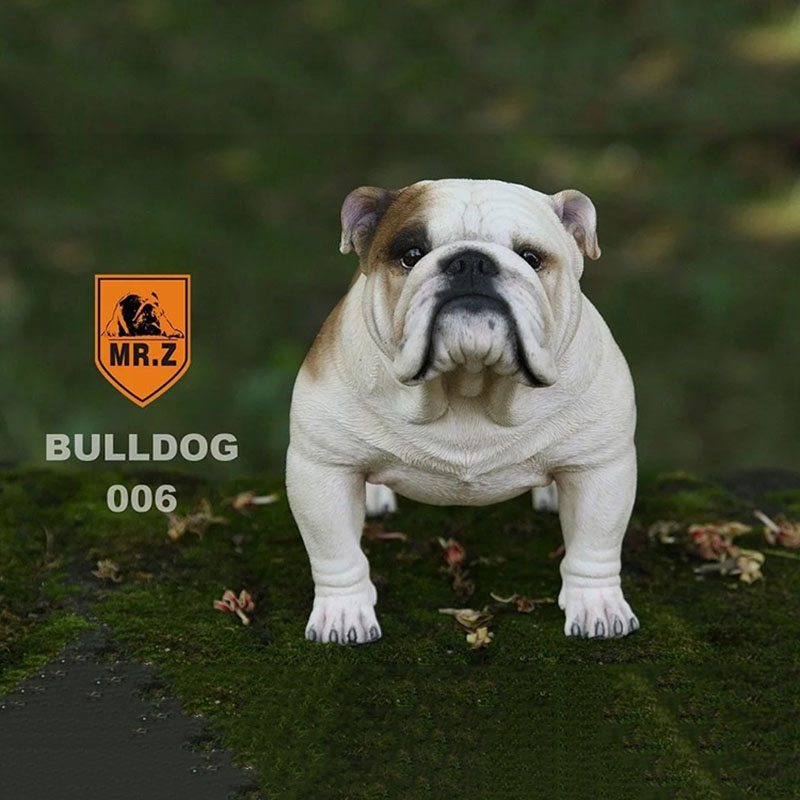 Mr.Z 1/4 Simulation Animal dog Bulldog Models Toy Gift Model For Action Figure Scene Car Decoration Accessories indoor Ornaments