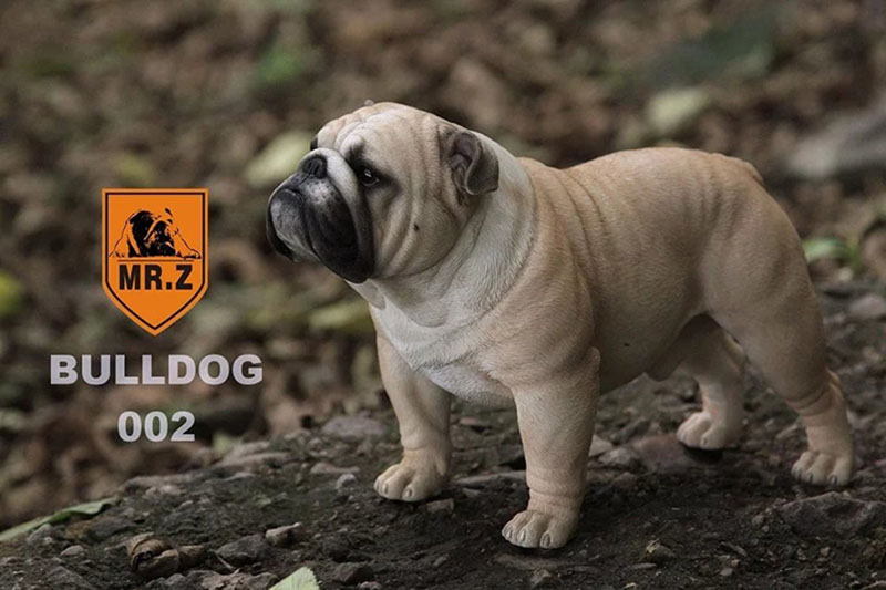 Mr.Z 1/4 Simulation Animal dog Bulldog Models Toy Gift Model For Action Figure Scene Car Decoration Accessories indoor Ornaments
